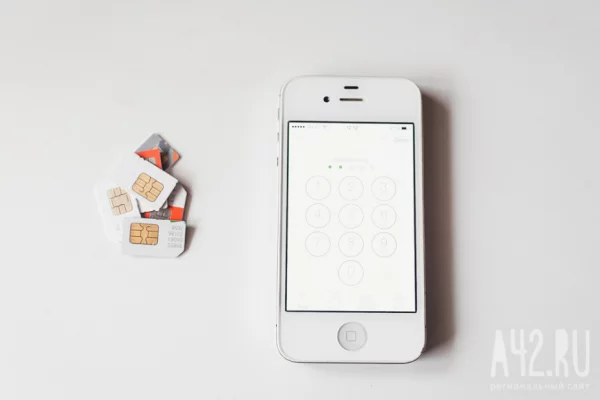 Кемеровчанин оформил сим-карты на чужие паспорта: дело передано в суд