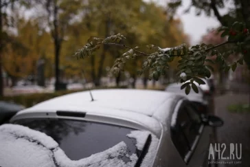 Фото: В Кемерове пошёл первый снег 2