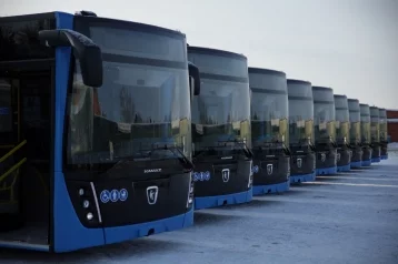 Фото: Кузбасс закупил 112 автобусов за 1,4 млрд рублей в 2023 году 1
