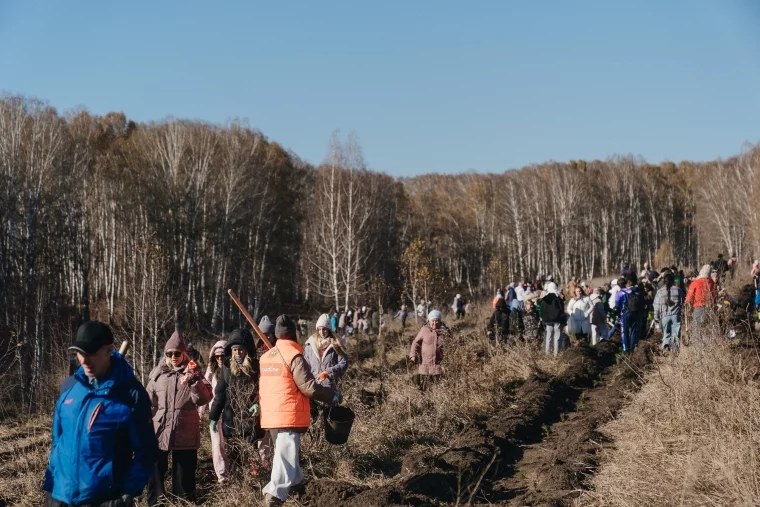 Фото: 10 000 новых деревьев в Новокузнецке: как прошёл масштабный экопраздник от Goodline 8