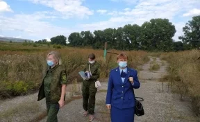 В Кузбассе птицефабрику оштрафовали на 350 тысяч рублей после жалоб на запах помёта
