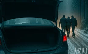 Двое кемеровчан похитили и почти сутки избивали человека: один сбежал от наказания в зону СВО