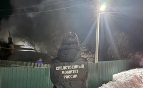 Пьяный саратовец из-за ссоры поджёг дом с людьми, погибли три человека