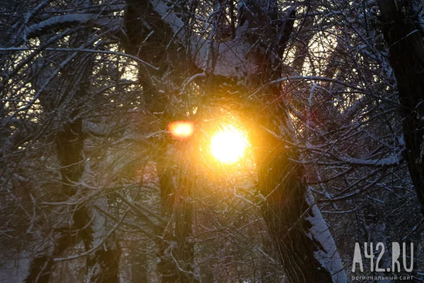 День Прокопа Перезимнего: народные приметы на 12 марта