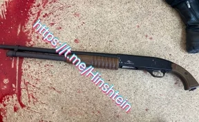  Депутат Хинштейн: устроившая стрельбу в школе ученица пронесла ружьё в тубусе