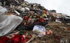 В Кузбассе планируют построить два мусороперерабатывающих завода