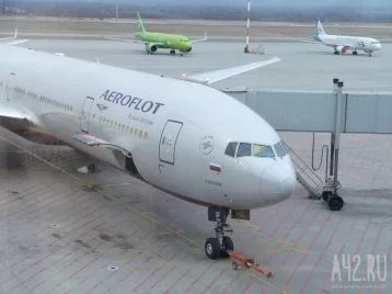 Фото: Из Кемерова возобновят авиарейсы до Санкт-Петербурга 1