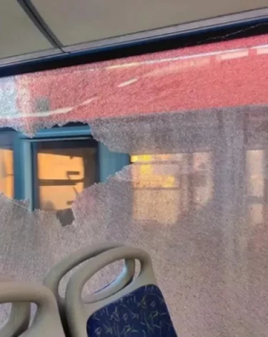 Фото, видео: <a href=https://t.me/nta_avtobus/5522>НТА</a> / Телеграм