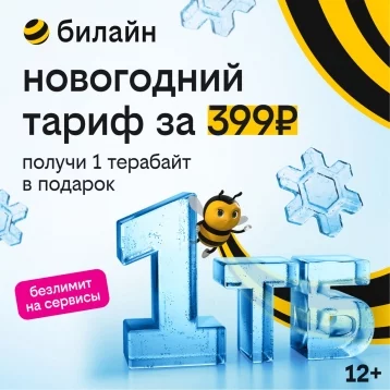 Фото: 1 терабайт для всех: билайн дарит возможность забыть о трафике на целый год 1