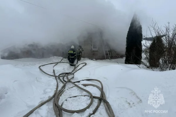В Нижегородской области на пожаре погибли двое детей