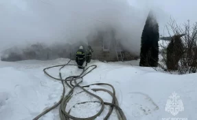 В Нижегородской области на пожаре погибли двое детей