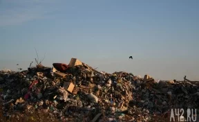 «Женщина в гордом одиночестве убирает это свинство»: жительницу Кузбасса восхитила незнакомка, собирающая чужой мусор