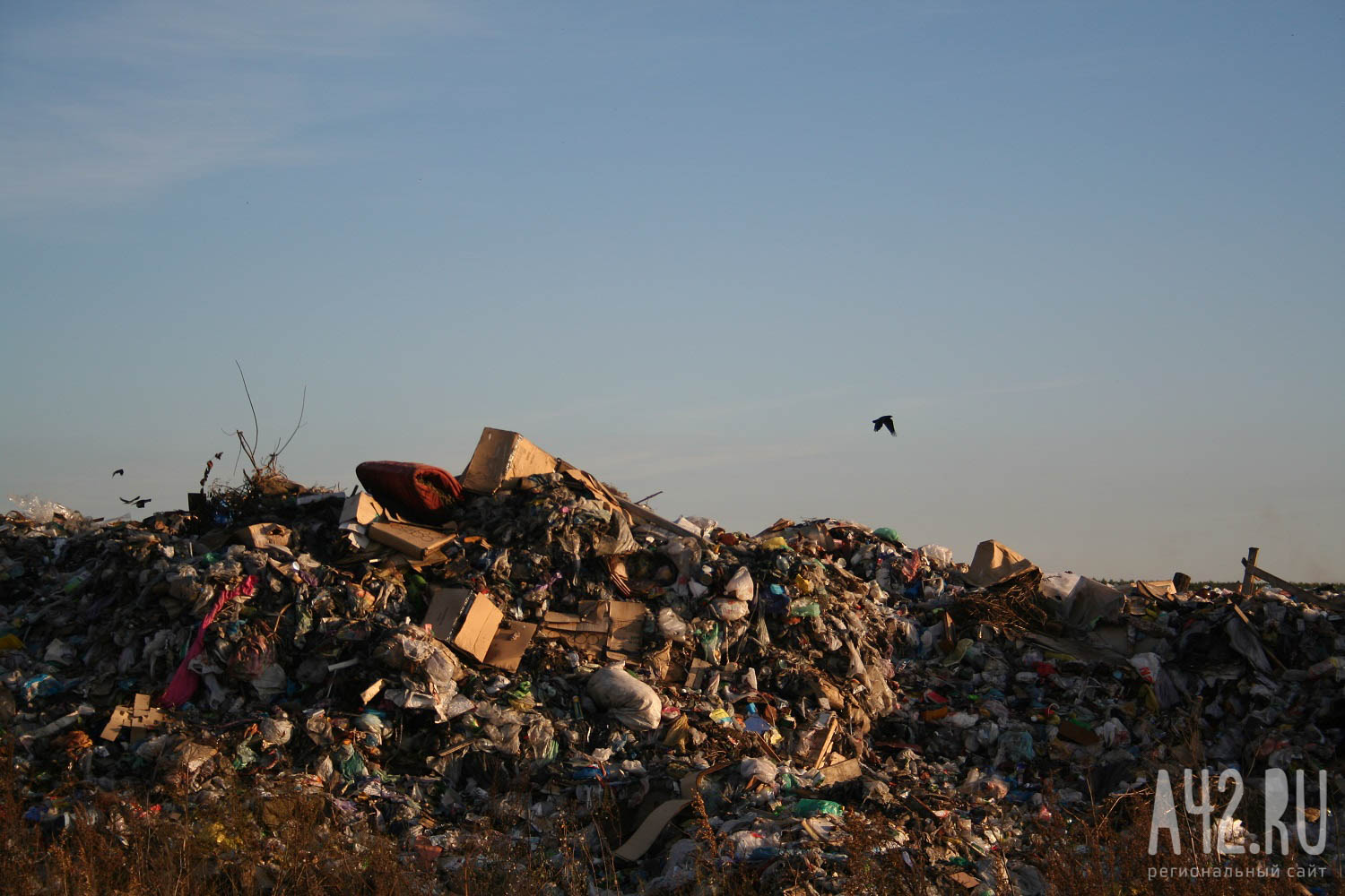 «Женщина в гордом одиночестве убирает это свинство»: жительницу Кузбасса восхитила незнакомка, собирающая чужой мусор