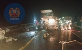 В Татарстане в массовом ДТП с грузовиком погибли четыре человека