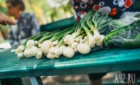 Кемеровостат: в Кузбассе за месяц цены на лук взлетели на 55%