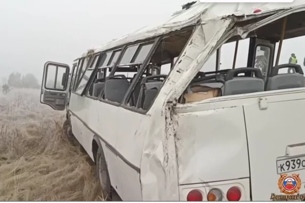 В Красноярском крае рейсовый автобус вылетел в кювет на трассе: пострадали 7 человек