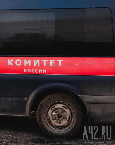 После истории с карпами в Кузбассе Александр Бастрыкин потребовал доклад по делу о затопленных подвалах 