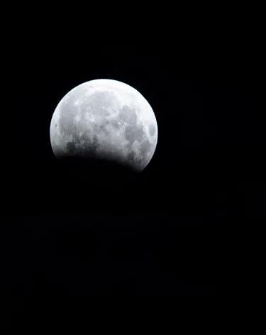 Силы ПВО за ночь сбили 164 БПЛА над регионами России, Чёрным и Азовским морями