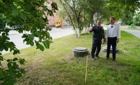 Глава Кемерова рассказал о судьбе яблонь на улице Мичурина