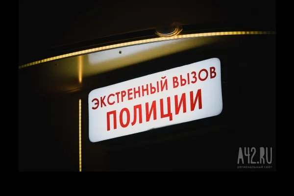 В Кемерове по дороге из школы без вести пропала 12-летняя девочка