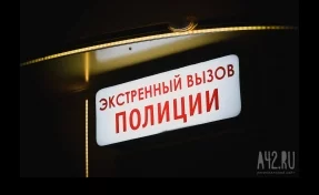 В Кемерове по дороге из школы без вести пропала 12-летняя девочка
