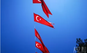 Российских туристов предупредили о схеме мошенников со щёткой для обуви в Стамбуле