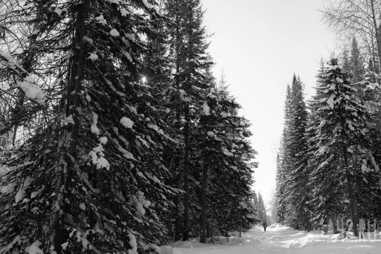 Фото: Новогодние каникулы по другим правилам: как провести длинные выходные в Кемерове, если диван и оливье уже не радуют 3