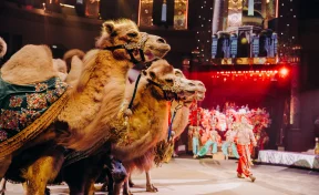 «Песчаную сказку» Гии Эрадзе покажут в Кемеровском цирке