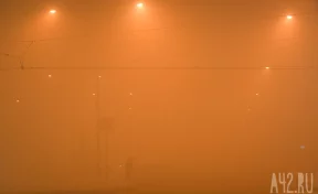 Появление зловонного смога в Кемерове прокомментировало Минприроды Кузбасса