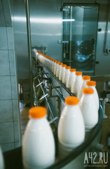 Фото: Без срока годности: в Кузбассе прокуратура обнаружила опасное производство молочной продукции 1