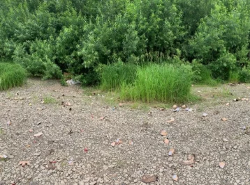 Фото: Кемеровчане возмущены оставленным после фейерверка на острове мусором 1