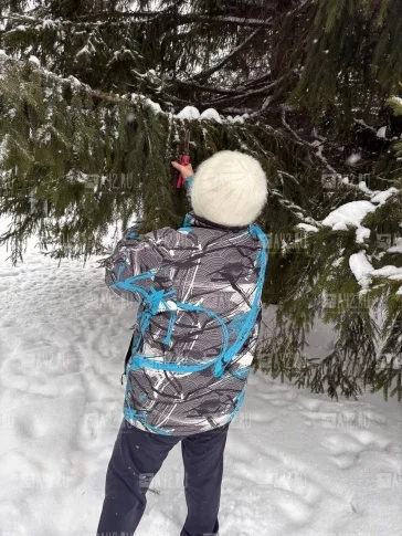 Фото: Кемеровчан возмутила «бабушка-вандалка», которая обдирала ёлки в центре города 1