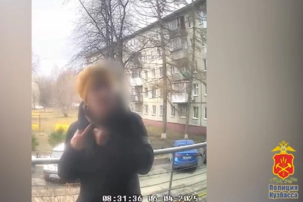 В Кемерове напавшего на 73-летнюю женщину грабителя отправили в колонию строгого режима