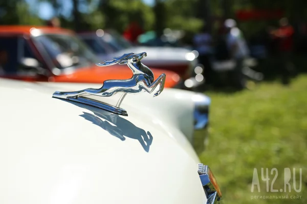 В Новокузнецке появится музей старых машин под открытым небом: коллекцию нашли случайно