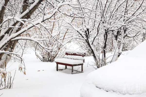 Синоптики объяснили мощные снегопады в Кузбассе