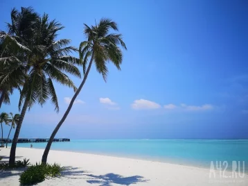 Фото: Мальдивам предсказали исчезновение из-за изменений климата 1