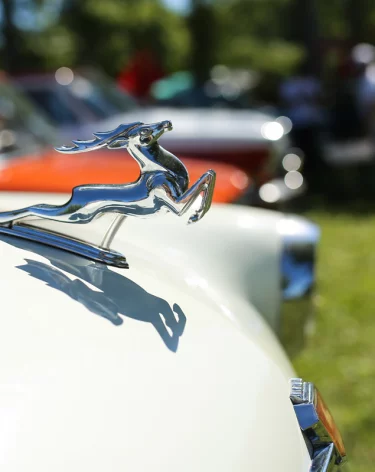 В Новокузнецке появится музей старых машин под открытым небом: коллекцию нашли случайно