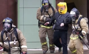 В Кузбассе пожарные спасли двоих человек из горящего дома
