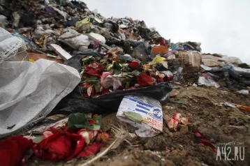 Фото: В Кузбассе планируют построить два мусороперерабатывающих завода 1