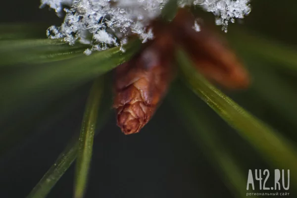 Синоптики: перепады температур от -13 до +13 ждут кузбассовцев 15 апреля