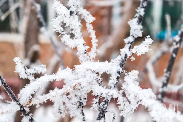 Предупрежение синоптиков: 16 марта температура резко опустится до -30 в Кузбассе