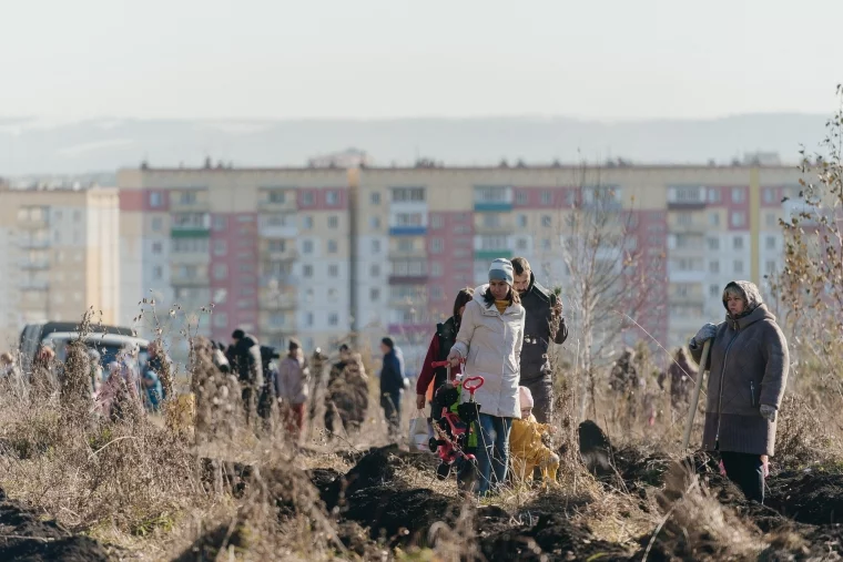 Фото: 10 000 новых деревьев в Новокузнецке: как прошёл масштабный экопраздник от Goodline 9
