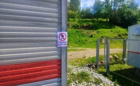 В Кузбассе грузовой поезд насмерть сбил 66-летнего мужчину