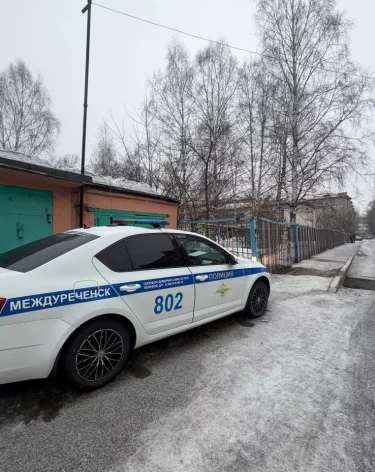 Фото: <a href=https://t.me/gibdd42>Госавтоинспекция Кузбасса</a>/ Telegram