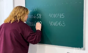 Бесплатные музеи, наставничество и звание «Ветеран труда»: в России утвердили новые меры поддержки учителей