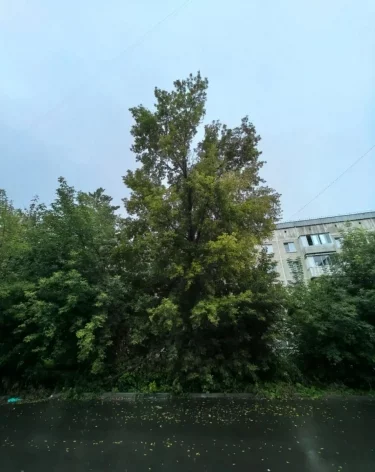 Фото (до и после): прокуратура Кузбасса