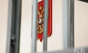 Сибиряка приговорили к 20 годам тюрьмы за госизмену