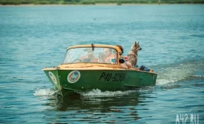 На Красном озере в Кемерове из воды спасли шестилетнего ребёнка