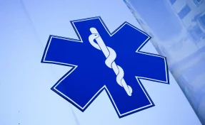 В Эквадоре пассажирский автобус упал с горы, 12 человек погибли и 10 пострадали