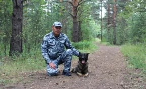 В Красноярском крае 84-летнюю женщину разыскали с помощью служебной собаки